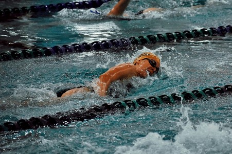 Olympic swimmer in the water racing