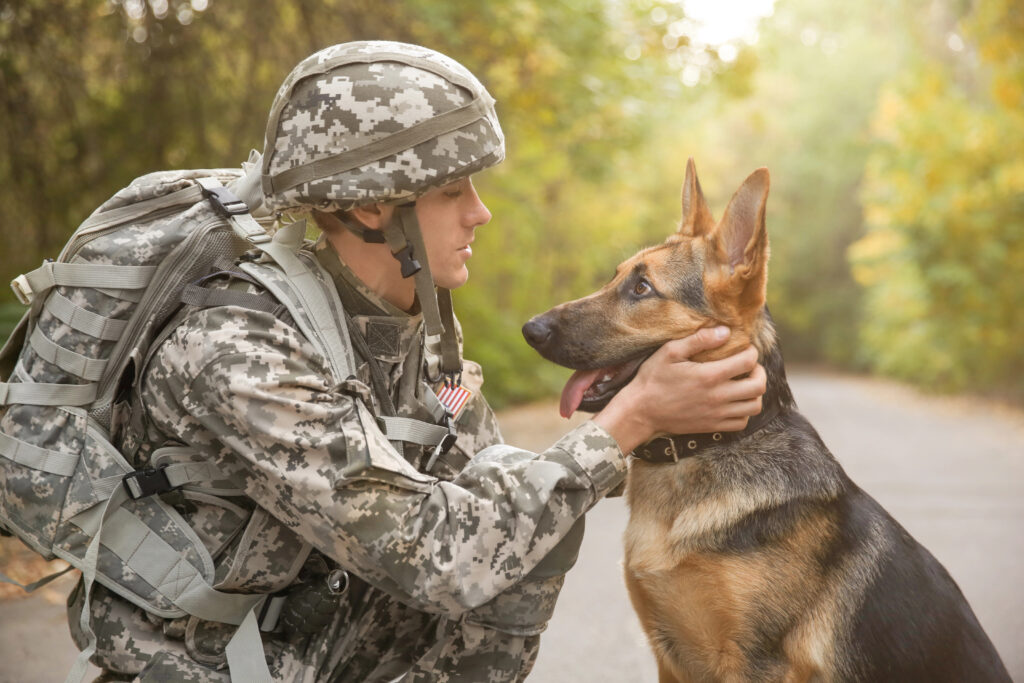 Soldier looking into the eyes of his K9 military German Shepherd.