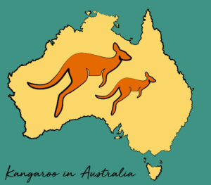 Two brown kangaroos on a map of Australia